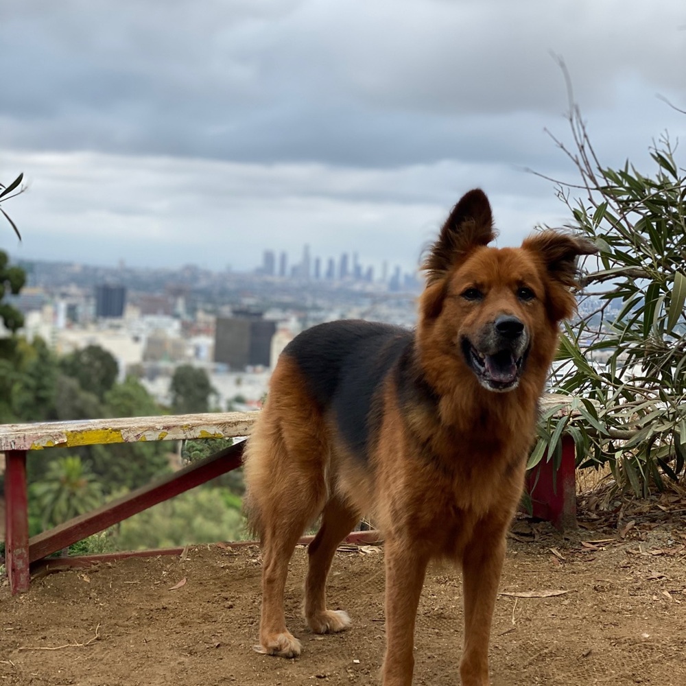 Meet your Posher, Gabriella